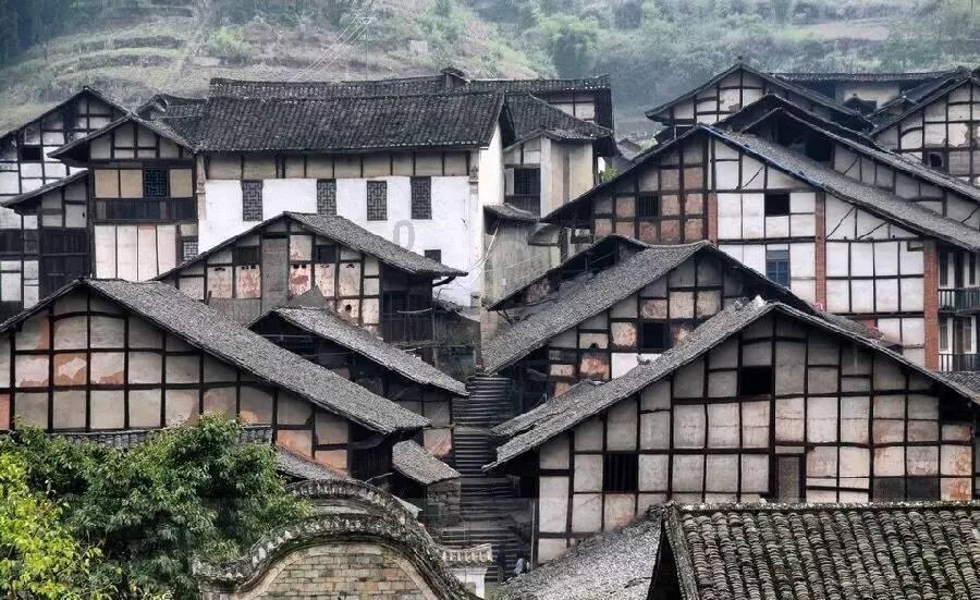 为什么要婚前同居?知识星球平台,探索专业知识的乐园